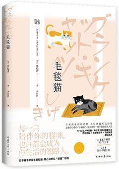 《毛毯猫》