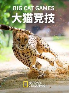 《大猫竞技》