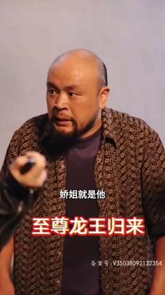 《至尊龙王归来》