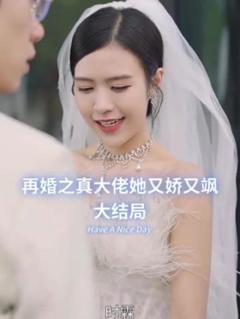 《再婚之真大佬她又娇又飒》