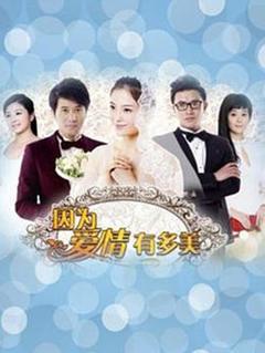 《因为爱情有多美DVD》