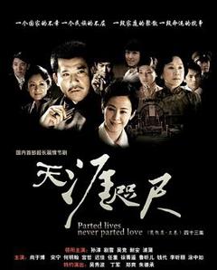 《天涯咫尺2008》