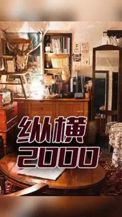 《纵横2000》