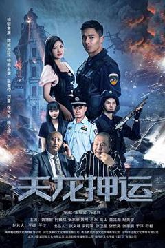 《天龙押运》