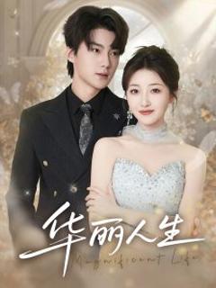 《华丽人生》