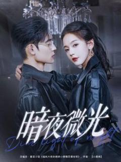 《暗夜微光》