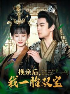 《换亲后，我一胎双宝》