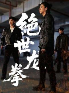 《绝世龙拳》