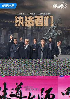 《执法者们粤语》