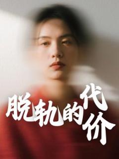《脱轨的代价》