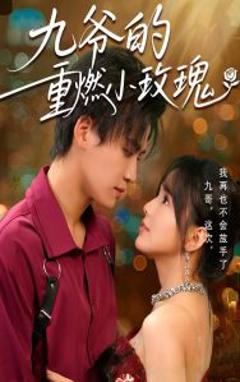 《九爷的重燃小玫瑰》