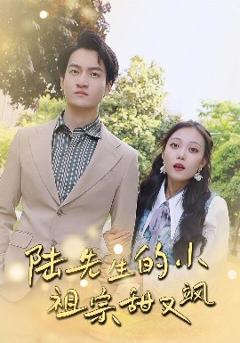 《陆先生的小祖宗甜又飒落魄千金的逆袭恋曲》