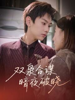《双枭合谋暗夜破晓》