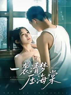 《一袭清梦压海棠》