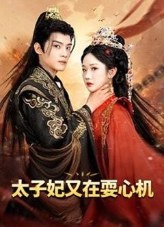 《太子妃又在耍心机》