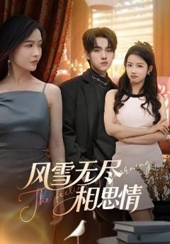 《风雪无尽相思情》