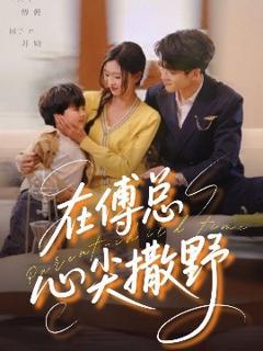 《在傅总心尖撒野》