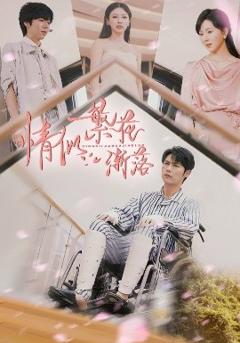 《情似繁花渐落》