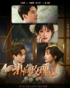 《扑向玫瑰》