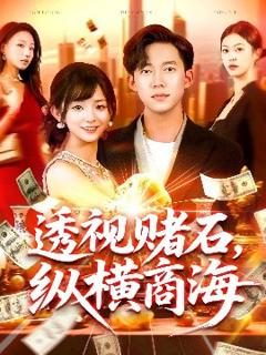 《透视赌石纵横商海》