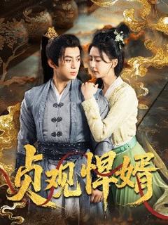 《贞观悍婿》