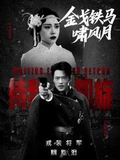 《金戈铁马啸风月》