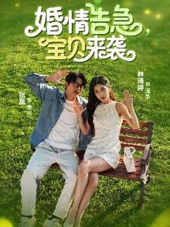 《婚情告急，宝贝来袭》