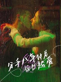 《分手八年钟总依然超爱》