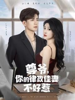 《尊爷，你的律政娇妻不好惹》