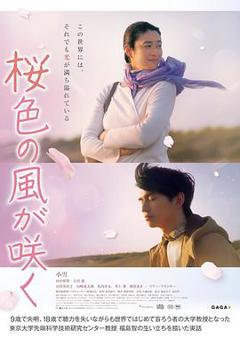 《风临樱花开》