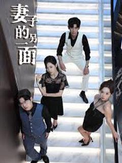 《妻子的另一面》