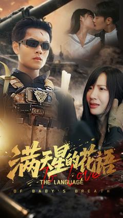 《满天星的花语》