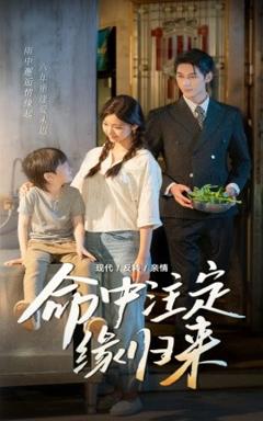 《命中注定缘归来》