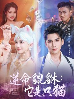 《逆命貔貅它是只猫》