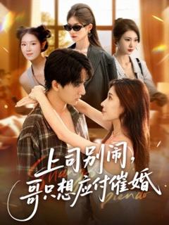 《上司别闹，哥只想应付催婚》