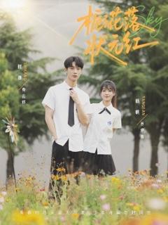 《栀子花落状元红》