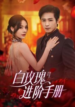 《白玫瑰进阶手册》