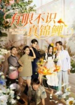 《有眼不识真锦鲤》