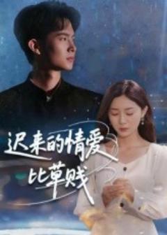 《迟来的情爱比草贱》