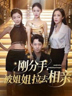 《刚分手被姐姐拉去相亲》