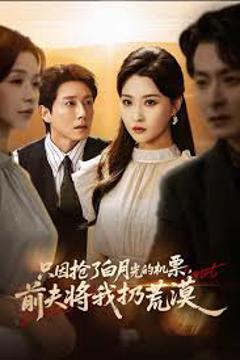 只因抢了白月光的机票前夫将我扔荒漠