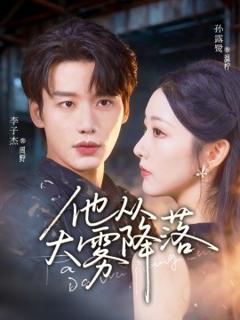 《他从大雾降落》