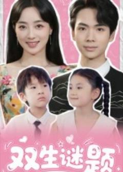 《双生谜题》