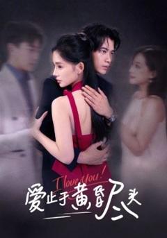 《爱止于黄昏尽头》