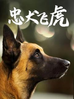 《忠犬飞虎》