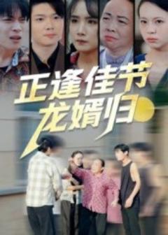 《正逢佳节龙婿归》