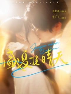 《盛夏挽晴天》
