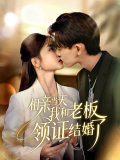 《相亲当天我和老板领证结婚了》