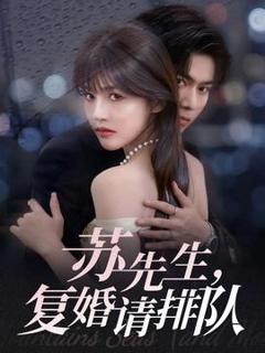 《苏先生，复婚请排队》