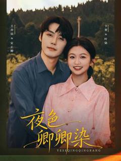 《夜色卿卿染》